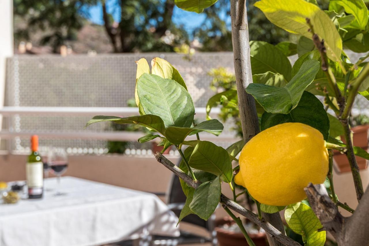 Casa Limonar Malaga公寓 外观 照片
